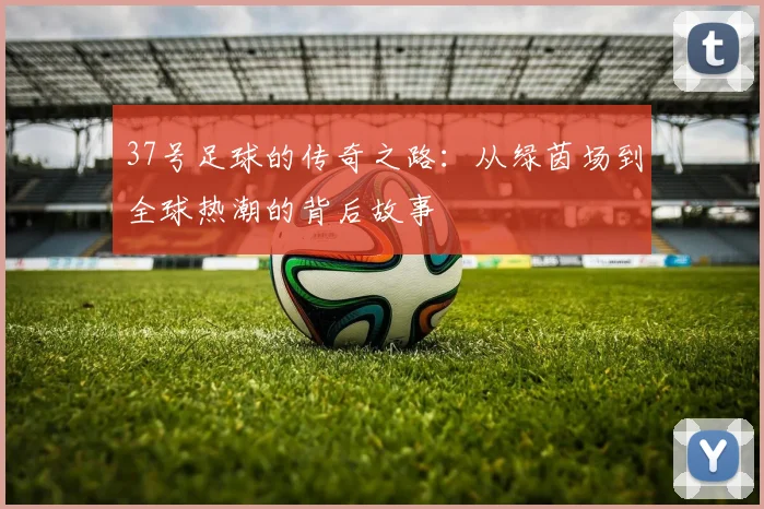 37号足球的传奇之路：从绿茵场到全球热潮的背后故事