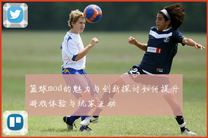 篮球mod的魅力与创新探讨如何提升游戏体验与玩家互动