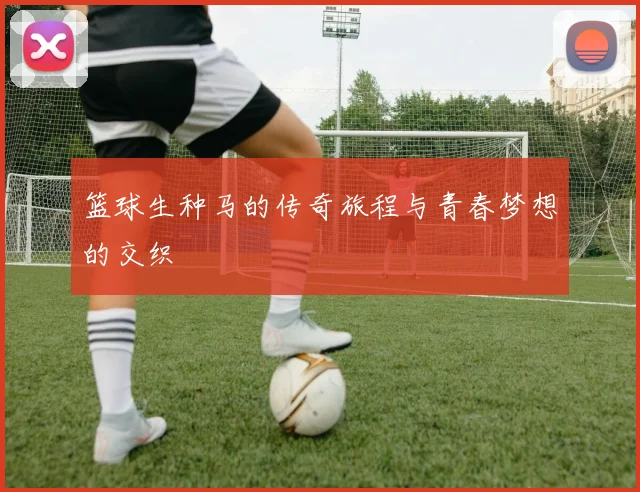 篮球生种马的传奇旅程与青春梦想的交织